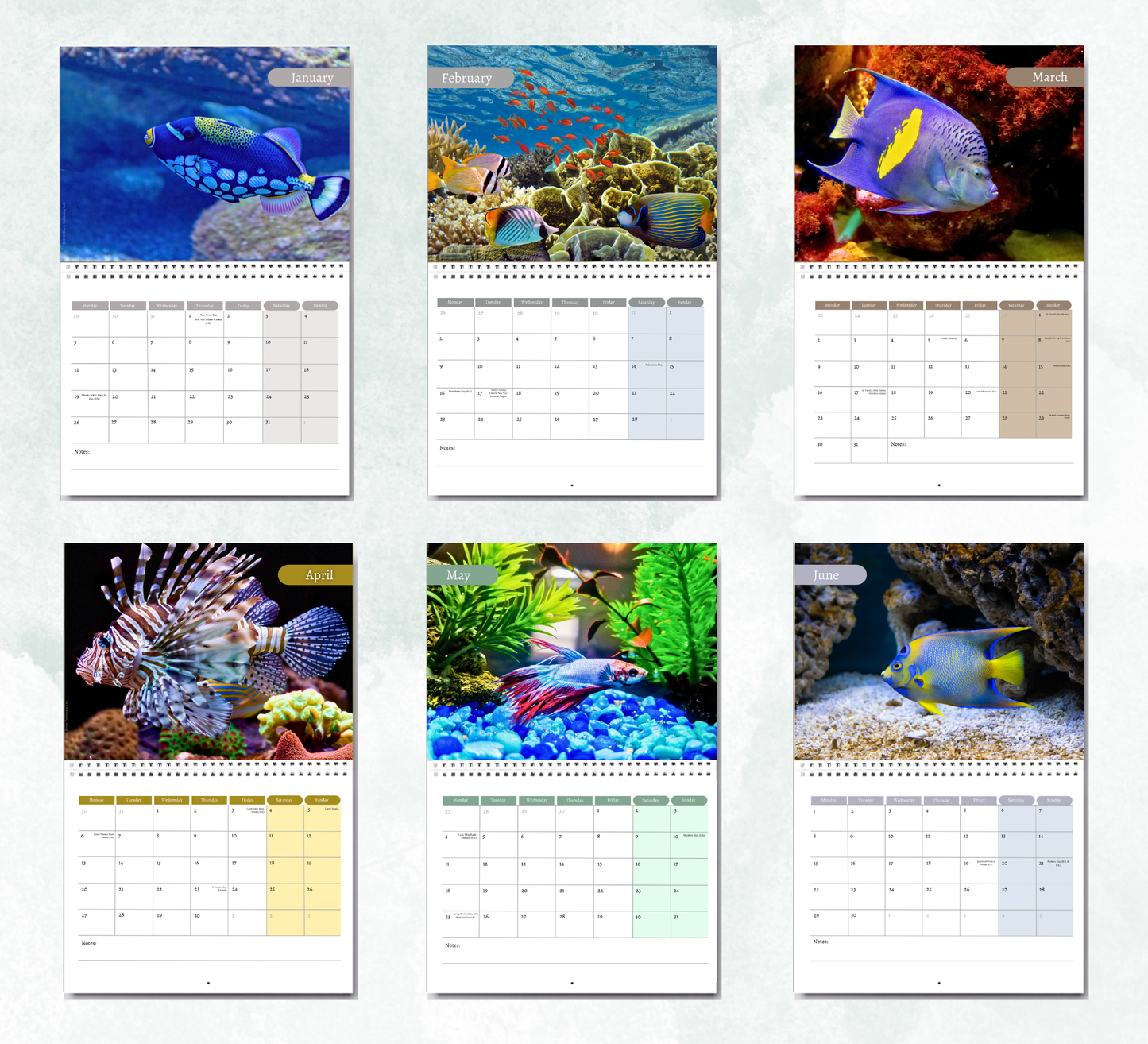Tropical fish Calendar 2027