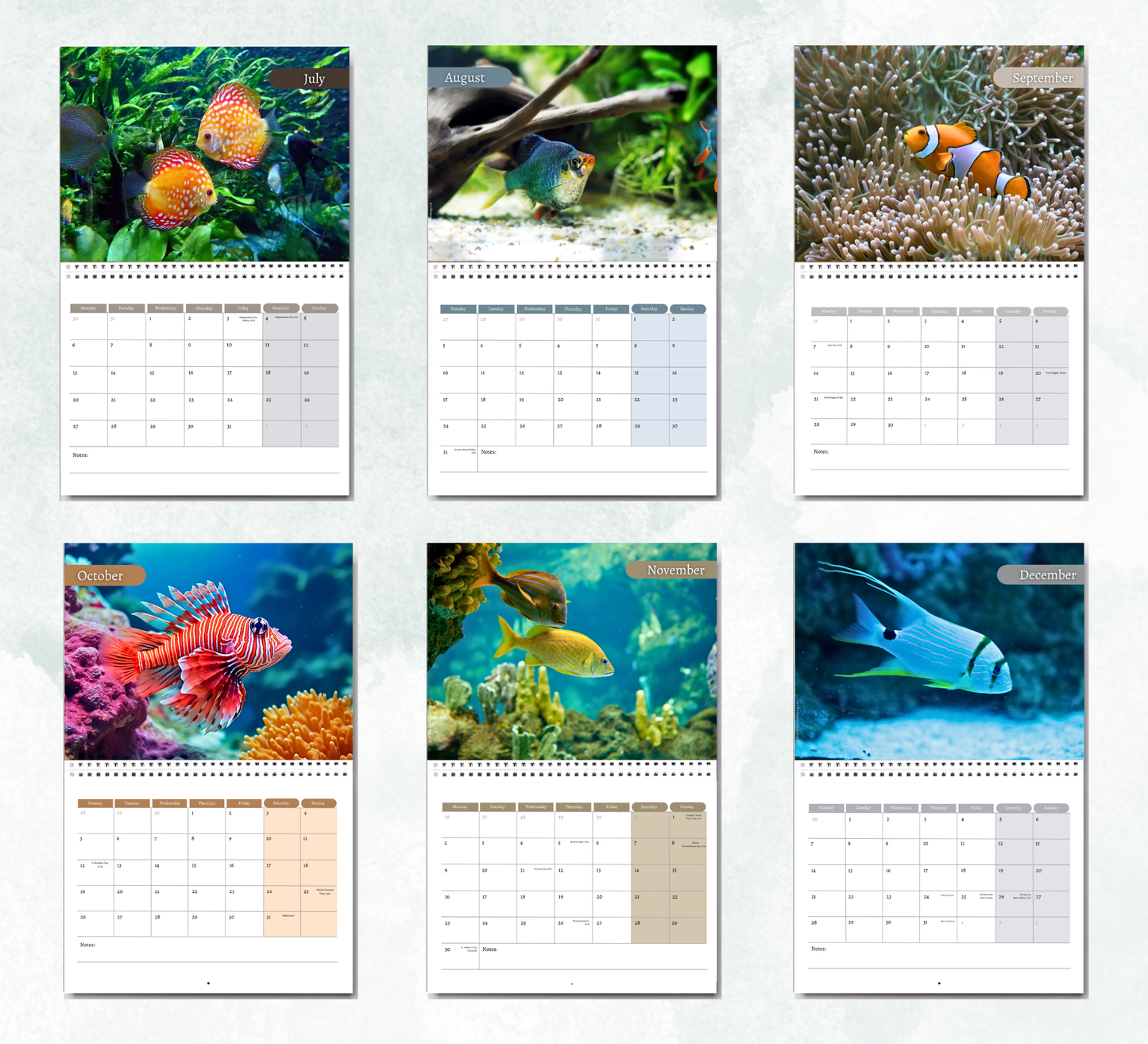 Tropical fish Calendar 2027