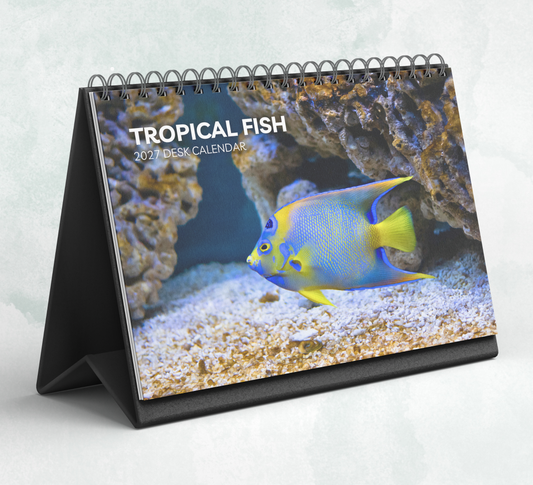 Tropical Fish Desk Calendar 2027-2028