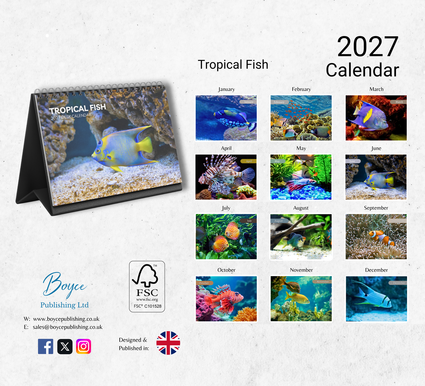 Tropical Fish Desk Calendar 2027-2028
