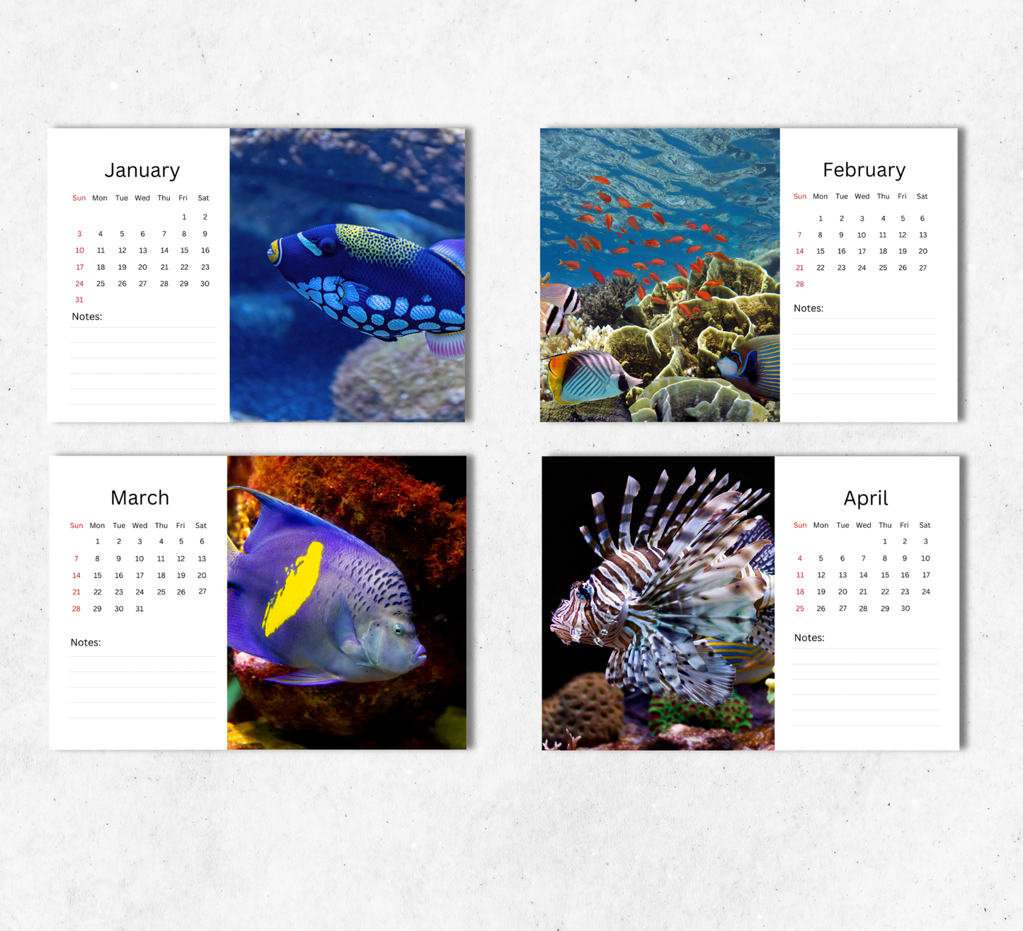 Tropical Fish Desk Calendar 2027-2028