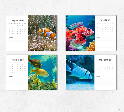 Tropical Fish Desk Calendar 2027-2028
