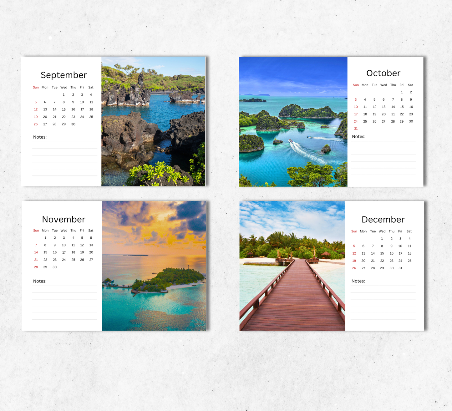 Tropical Islands Desk Calendar 2027-2028