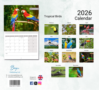 Tropical Birds Calendar 2026
