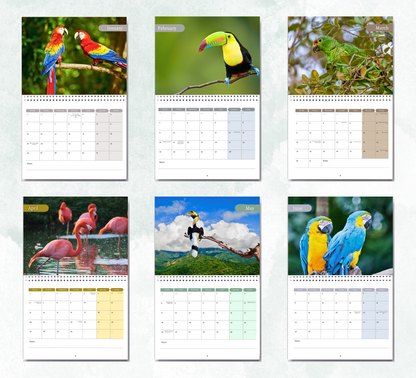 Tropical Birds Calendar 2026