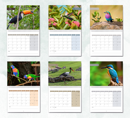 Tropical Birds Calendar 2026