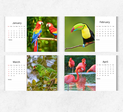 Tropical Birds Desk Calendar 2026-2027