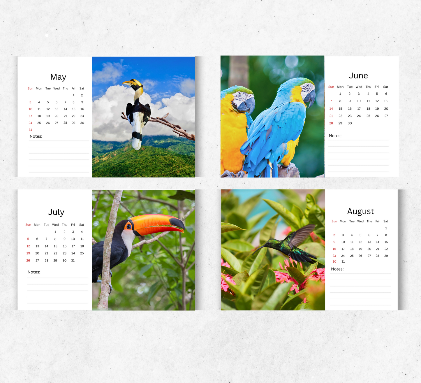 Tropical Birds Desk Calendar 2026-2027