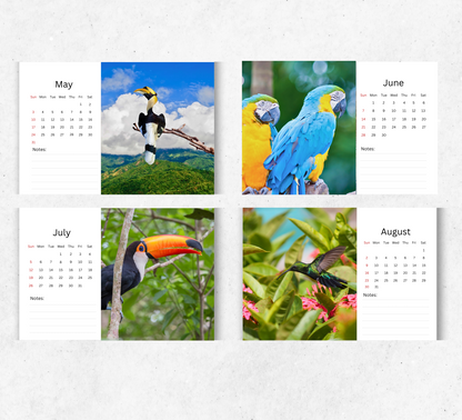 Tropical Birds Desk Calendar 2026-2027
