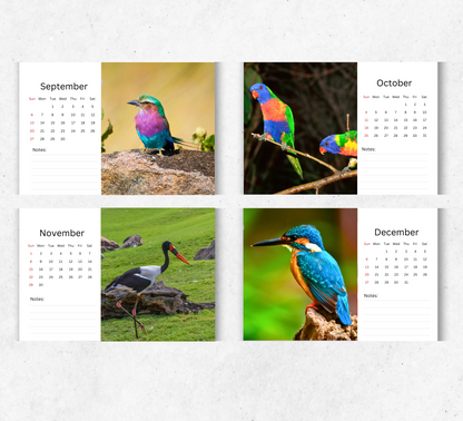 Tropical Birds Desk Calendar 2026-2027
