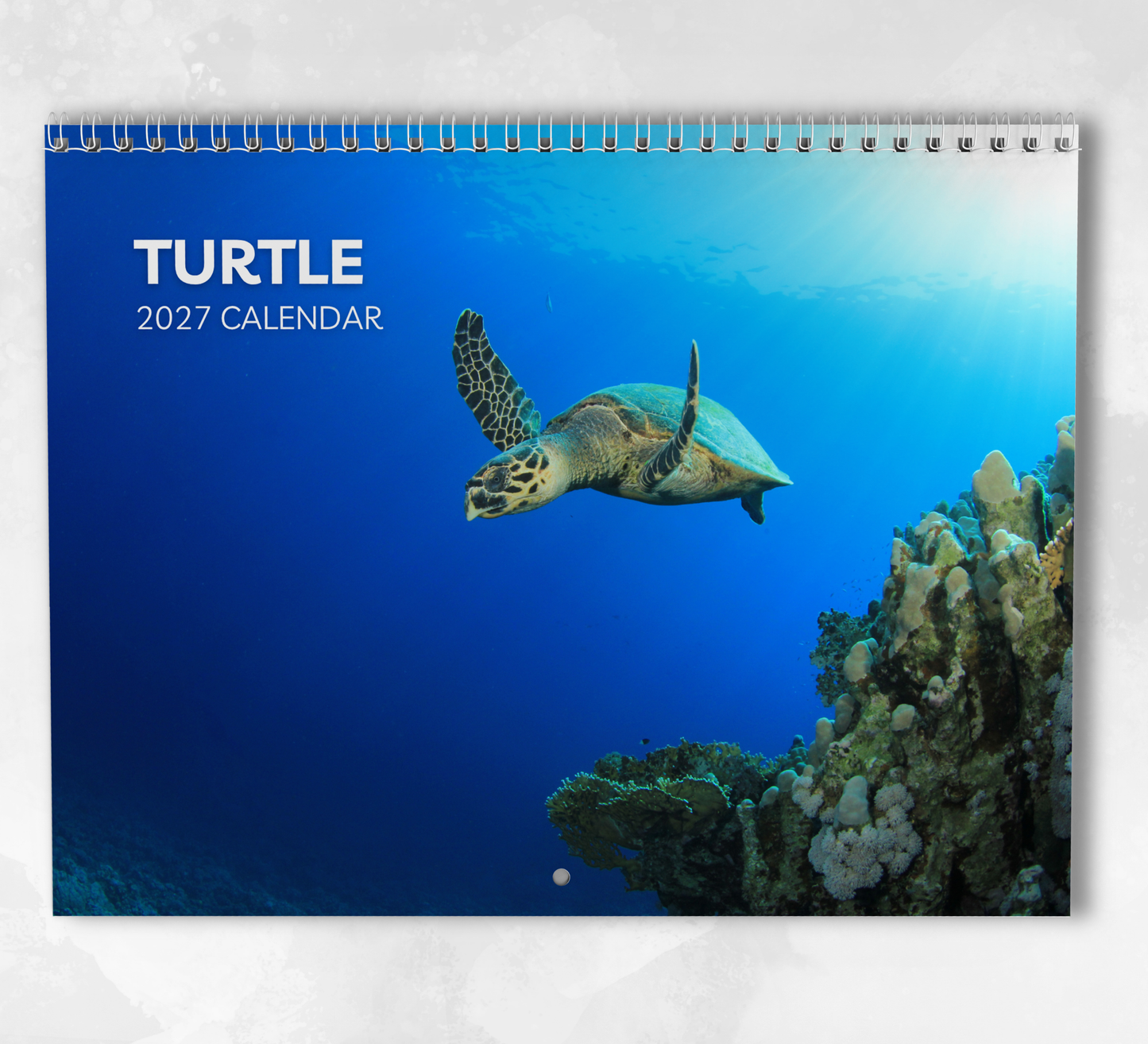 Turtle Calendar 2027