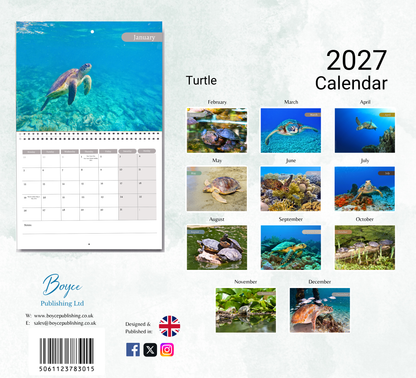 Turtle Calendar 2027