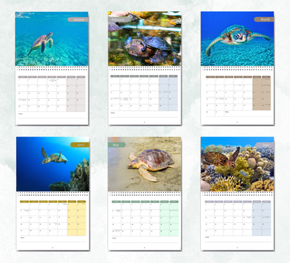 Turtle Calendar 2027
