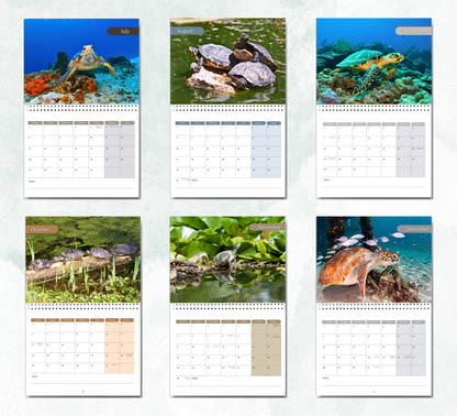 Turtle Calendar 2027