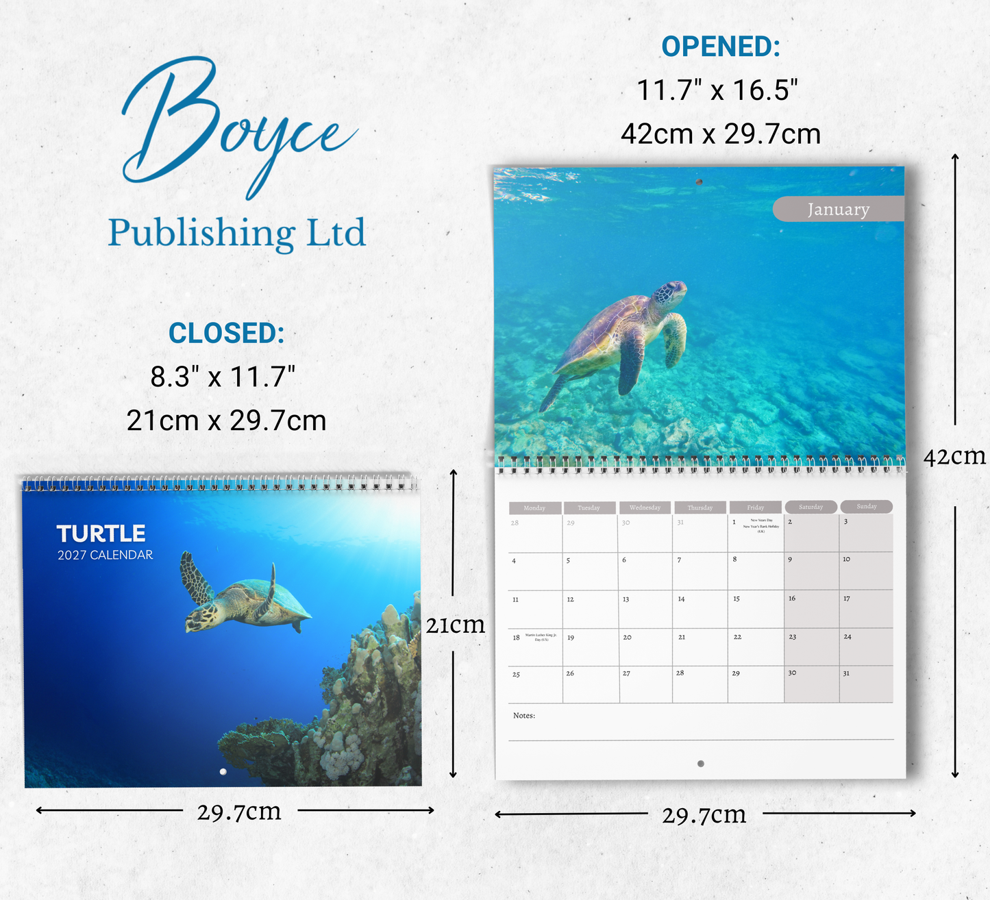 Turtle Calendar 2027