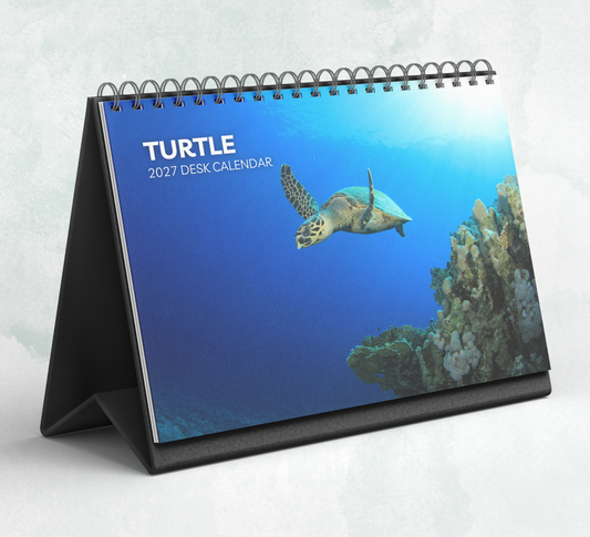 Turtle Desk Calendar 2027-2028