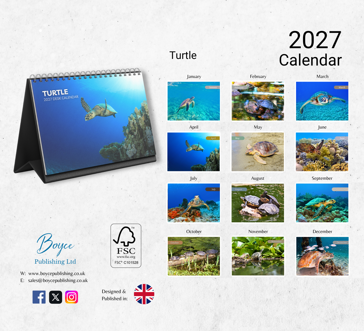Turtle Desk Calendar 2027-2028