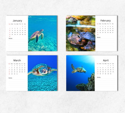 Turtle Desk Calendar 2027-2028
