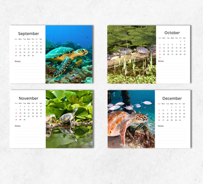 Turtle Desk Calendar 2027-2028