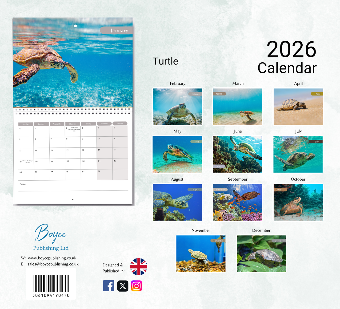 Turtle Calendar 2026