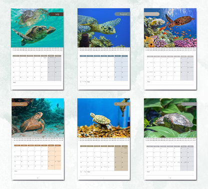 Turtle Calendar 2026