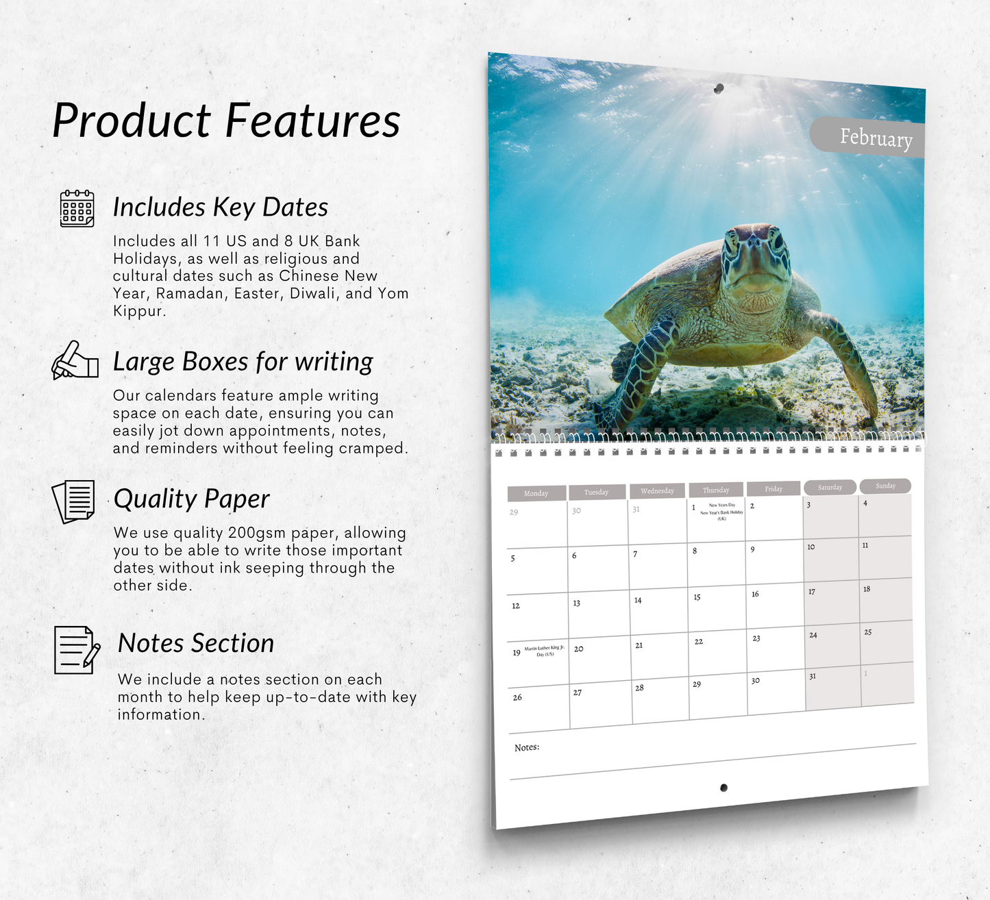 Turtle Calendar 2026