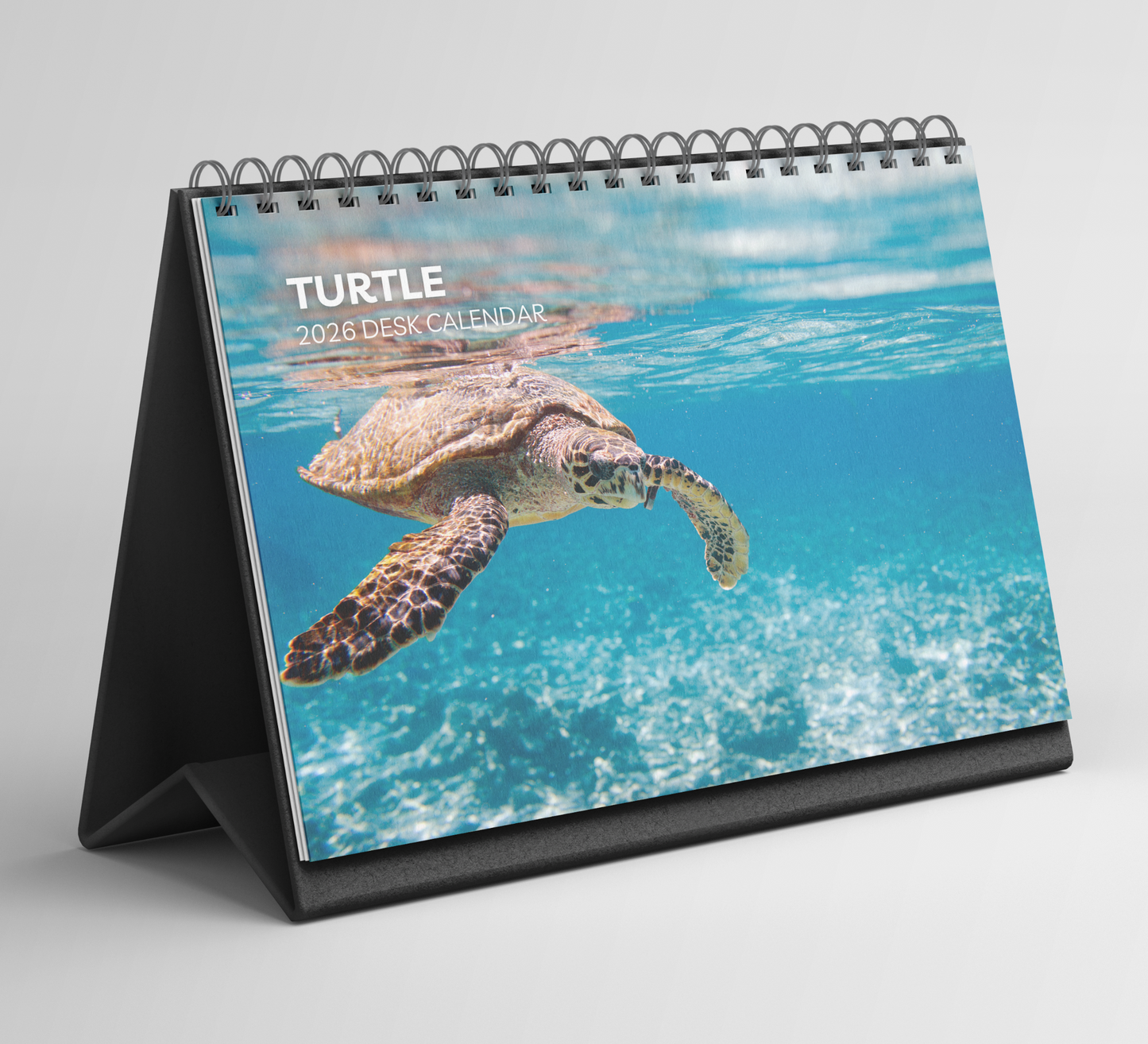 Turtle Desk Calendar 2026-2027