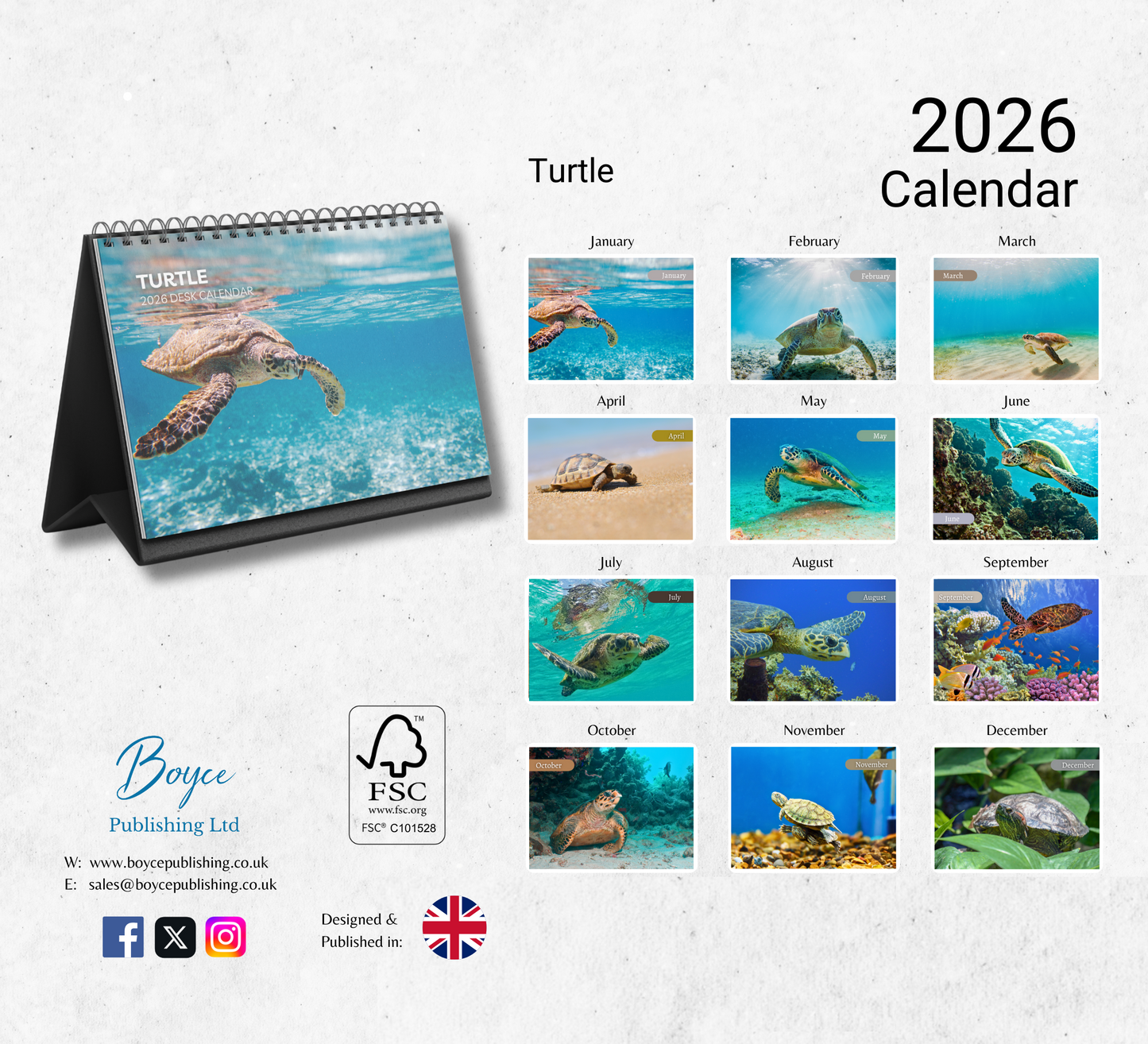Turtle Desk Calendar 2026-2027