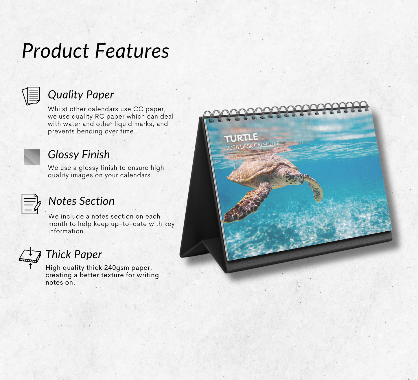 Turtle Desk Calendar 2026-2027
