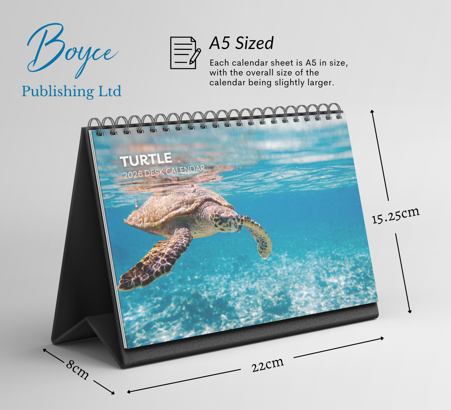 Turtle Desk Calendar 2026-2027