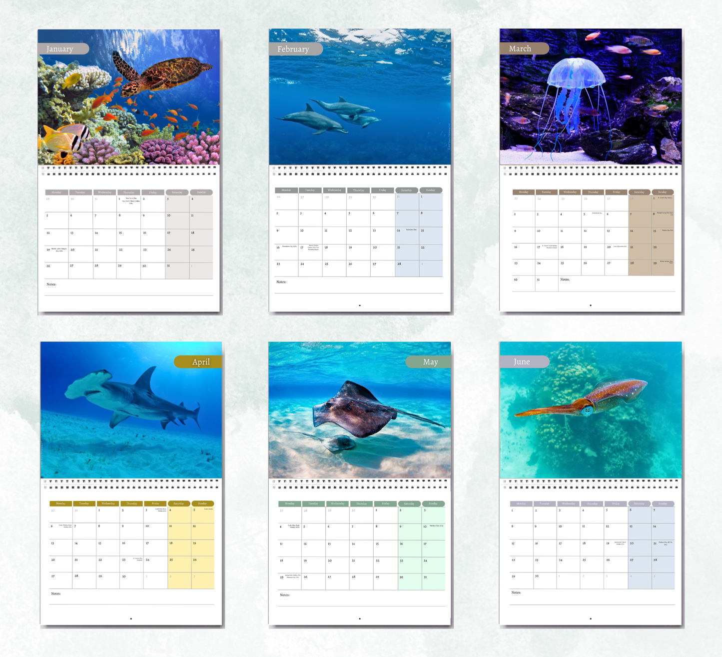 Under the Sea Calendar 2027
