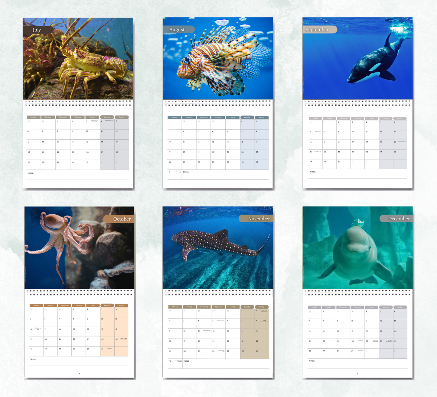 Under the Sea Calendar 2027