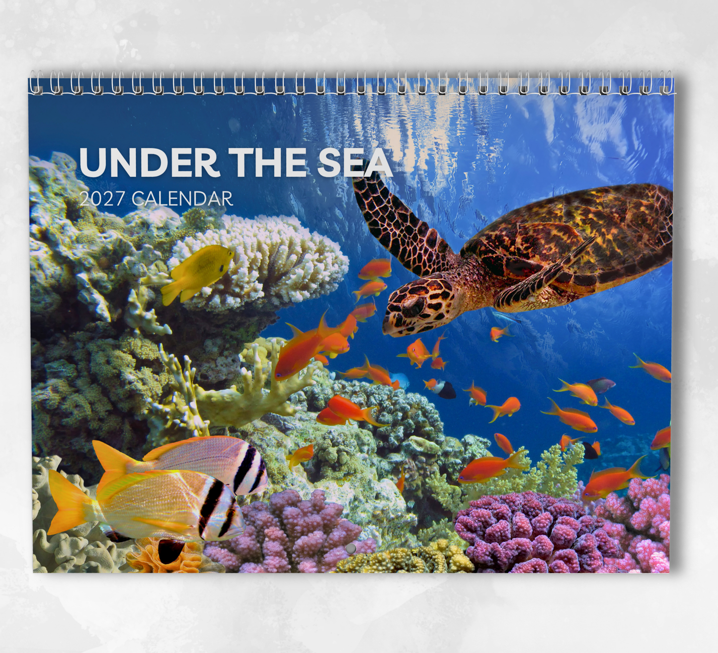 Under the Sea Calendar 2027