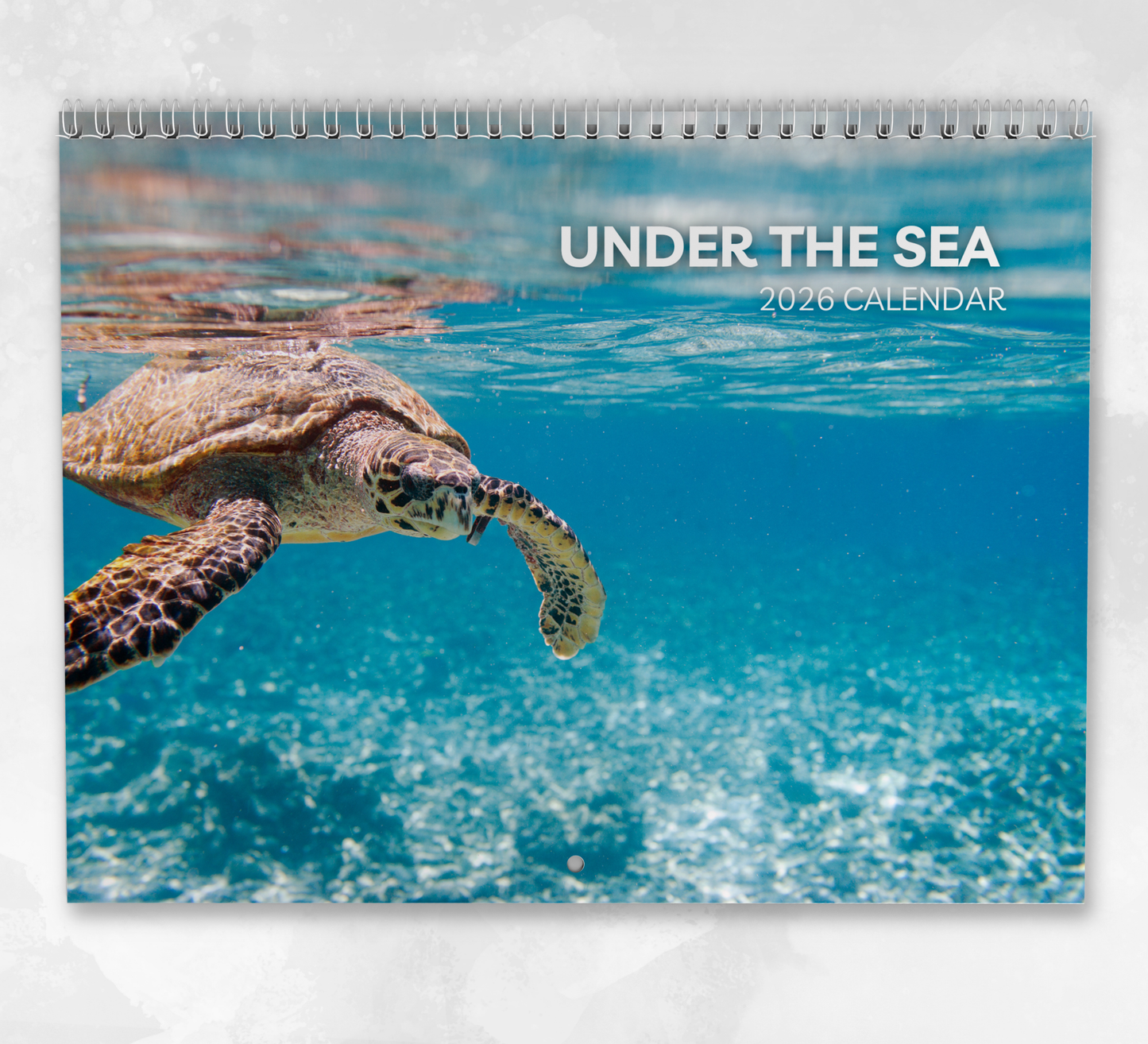 Under the Sea Calendar 2026