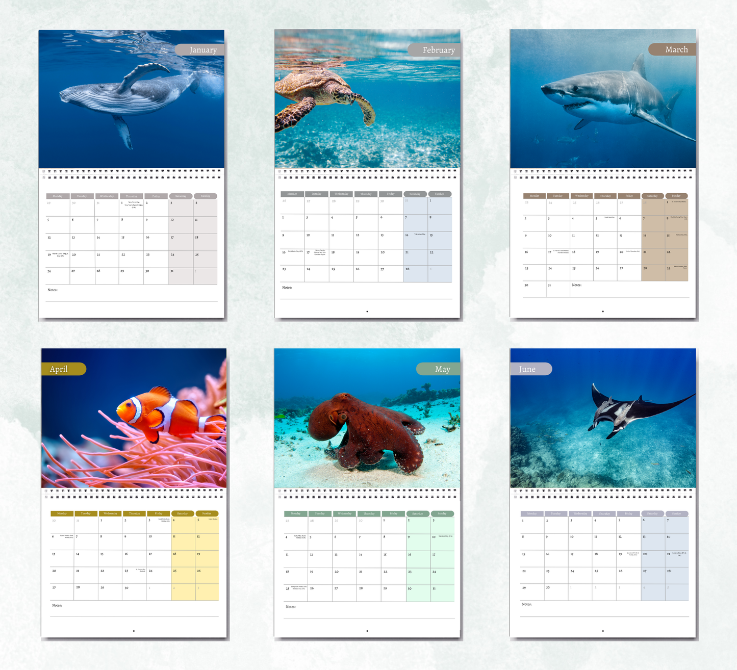 Under the Sea Calendar 2026
