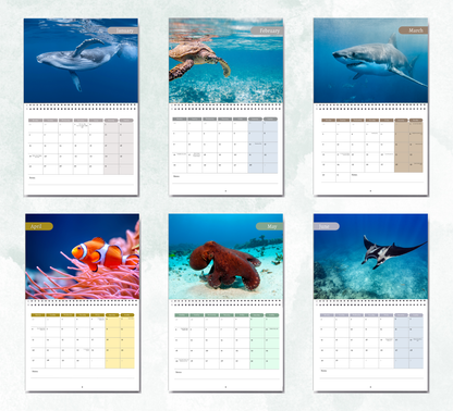 Under the Sea Calendar 2026