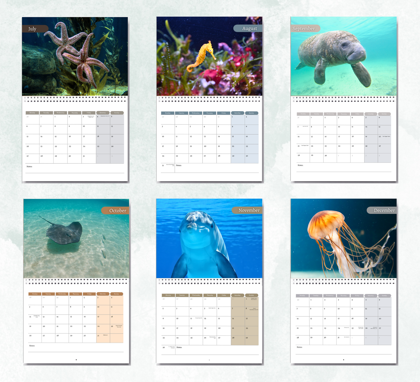 Under the Sea Calendar 2026