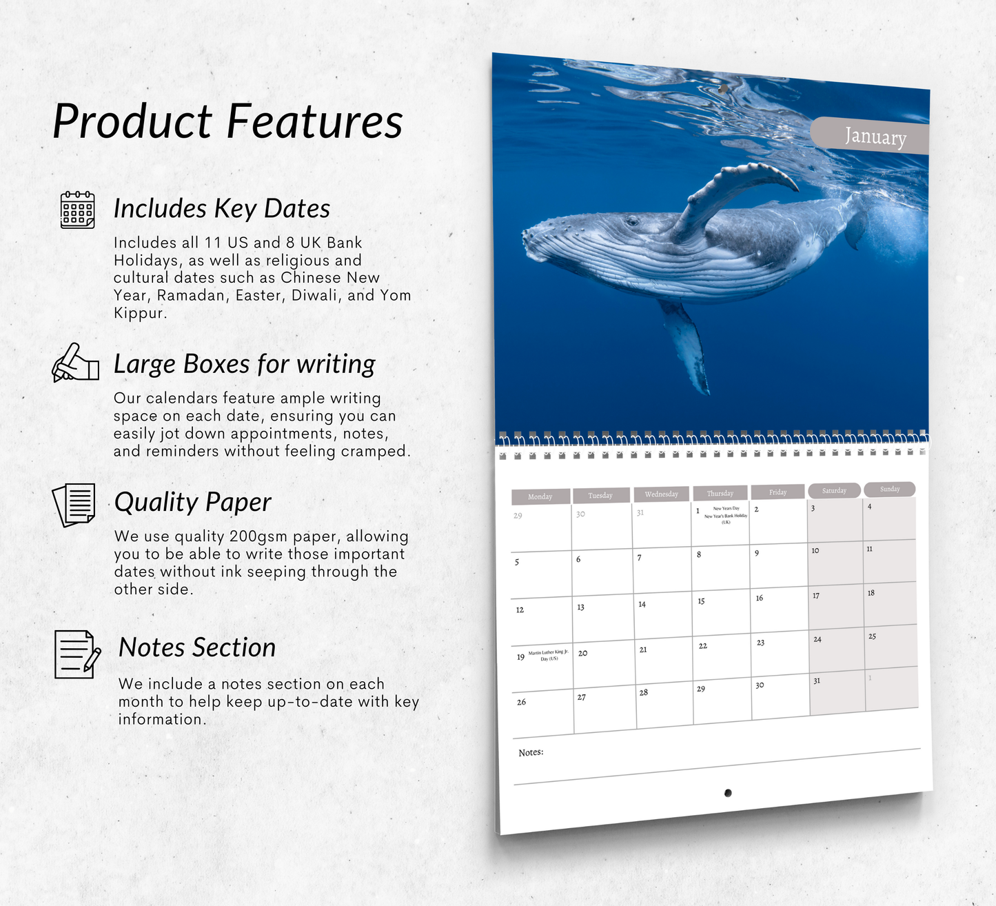 Under the Sea Calendar 2026