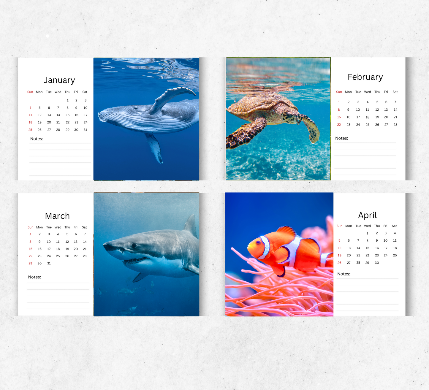 Under the Sea Desk Calendar 2026-2027