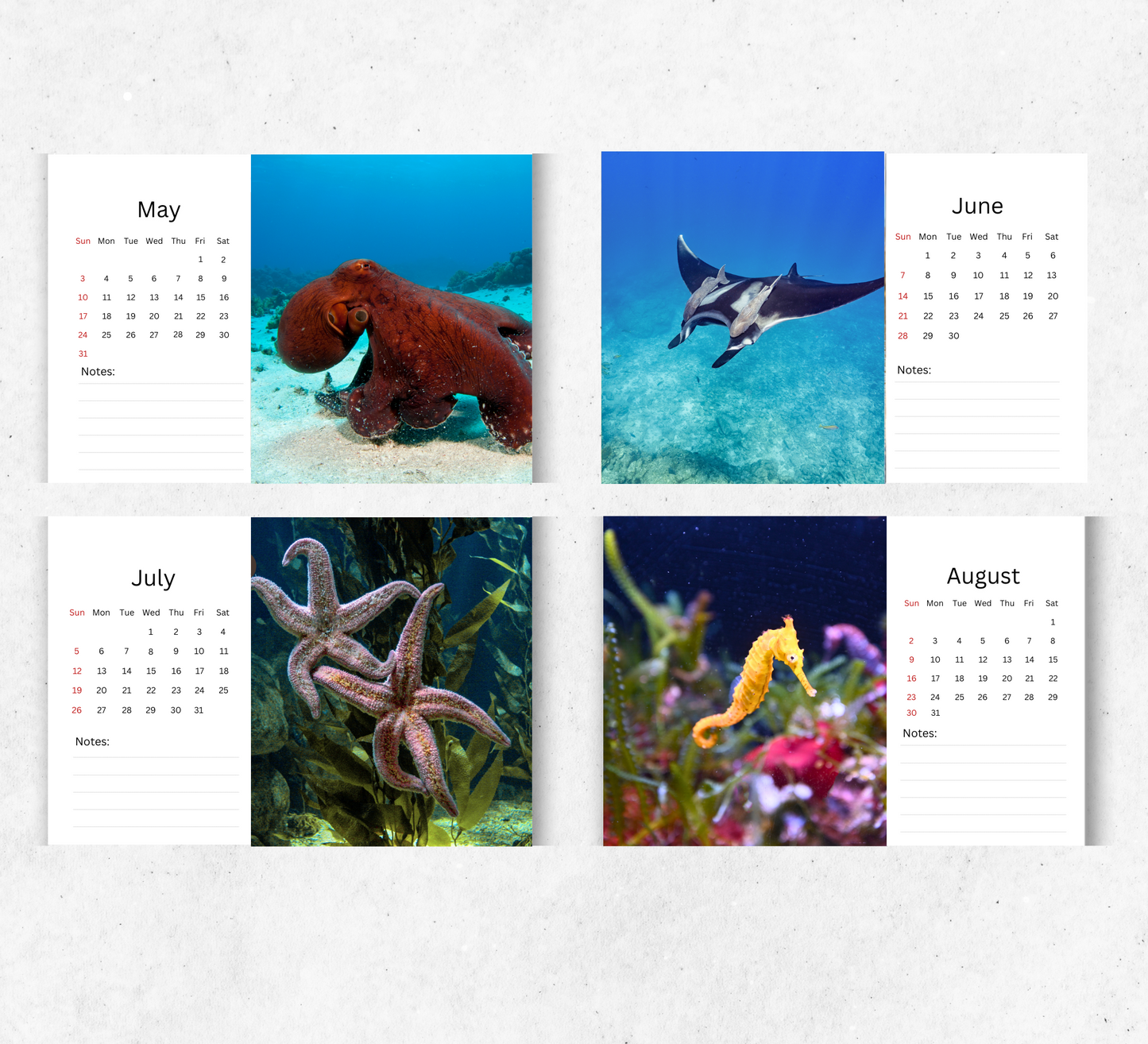 Under the Sea Desk Calendar 2026-2027