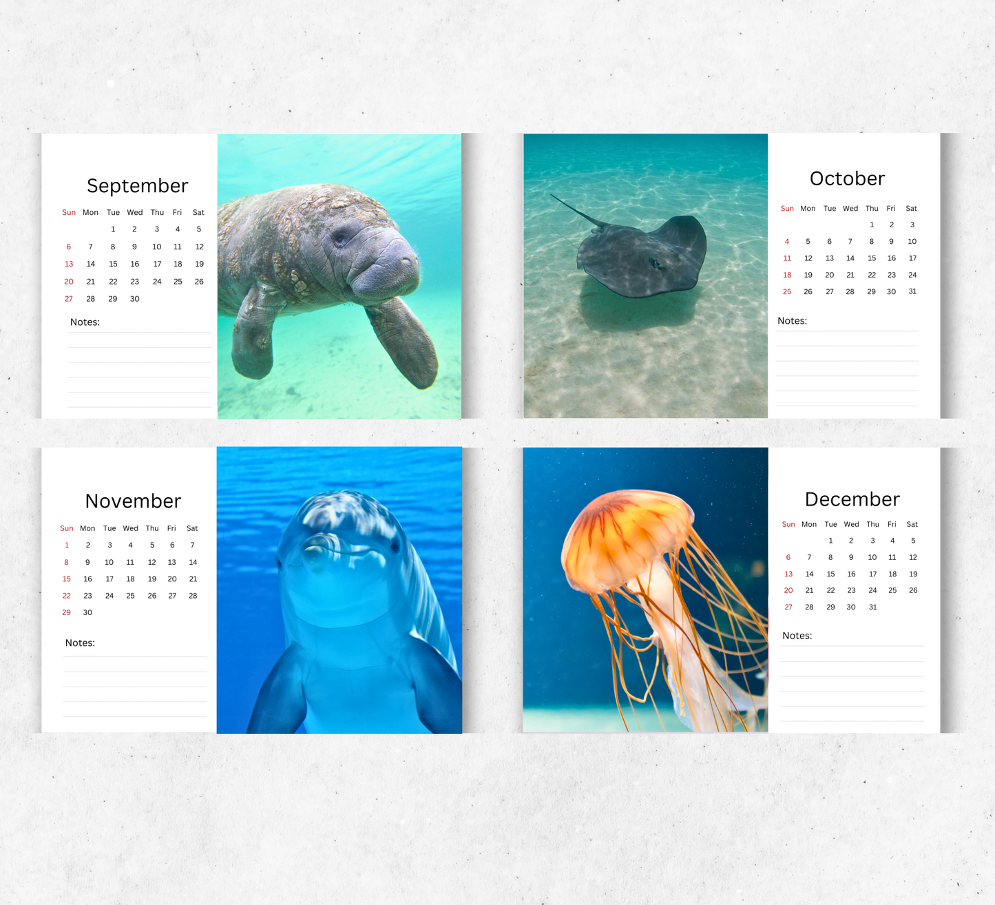 Under the Sea Desk Calendar 2026-2027