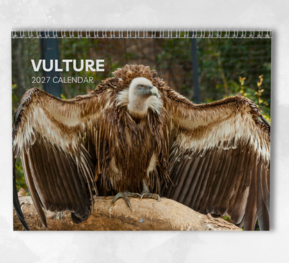 Vulture Calendar 2027