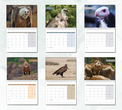 Vulture Calendar 2027