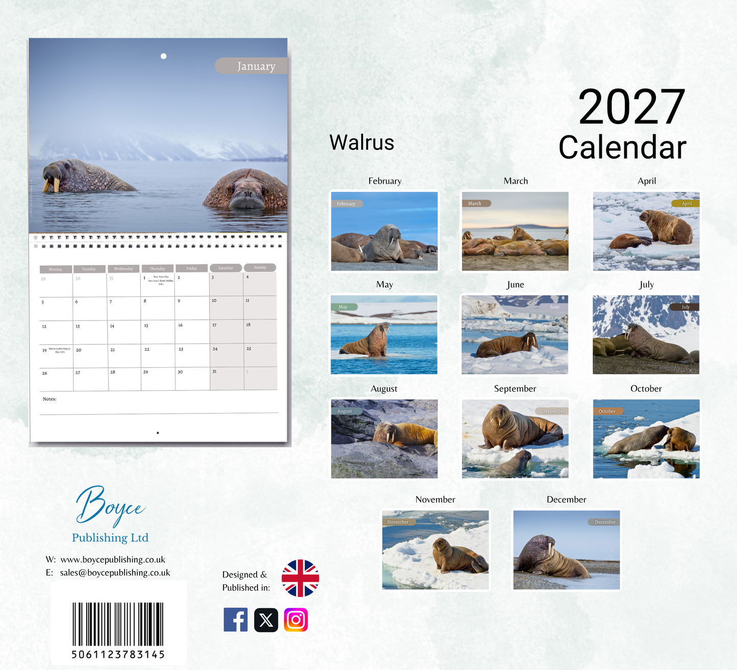 Walrus Calendar 2027