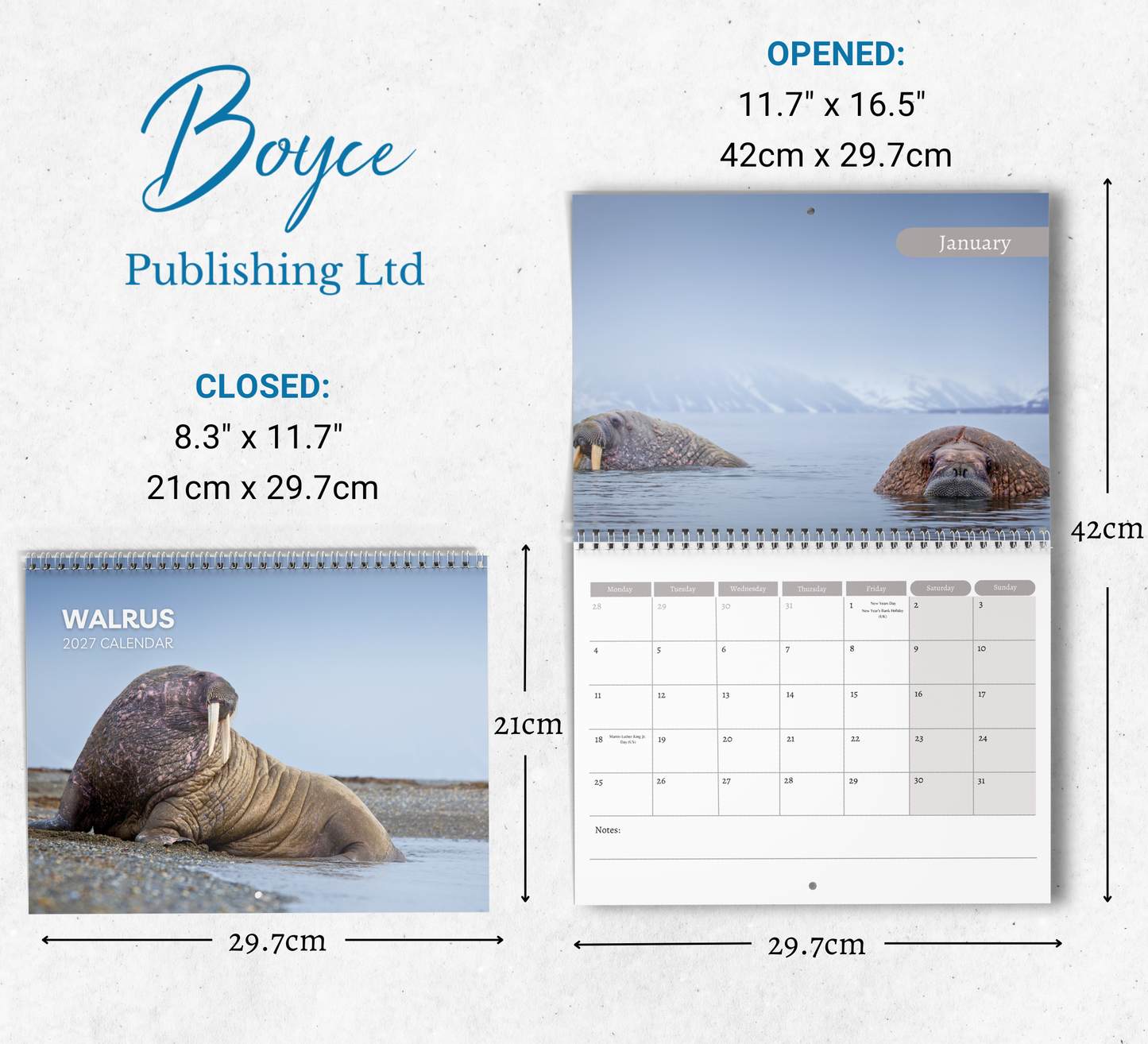 Walrus Calendar 2027