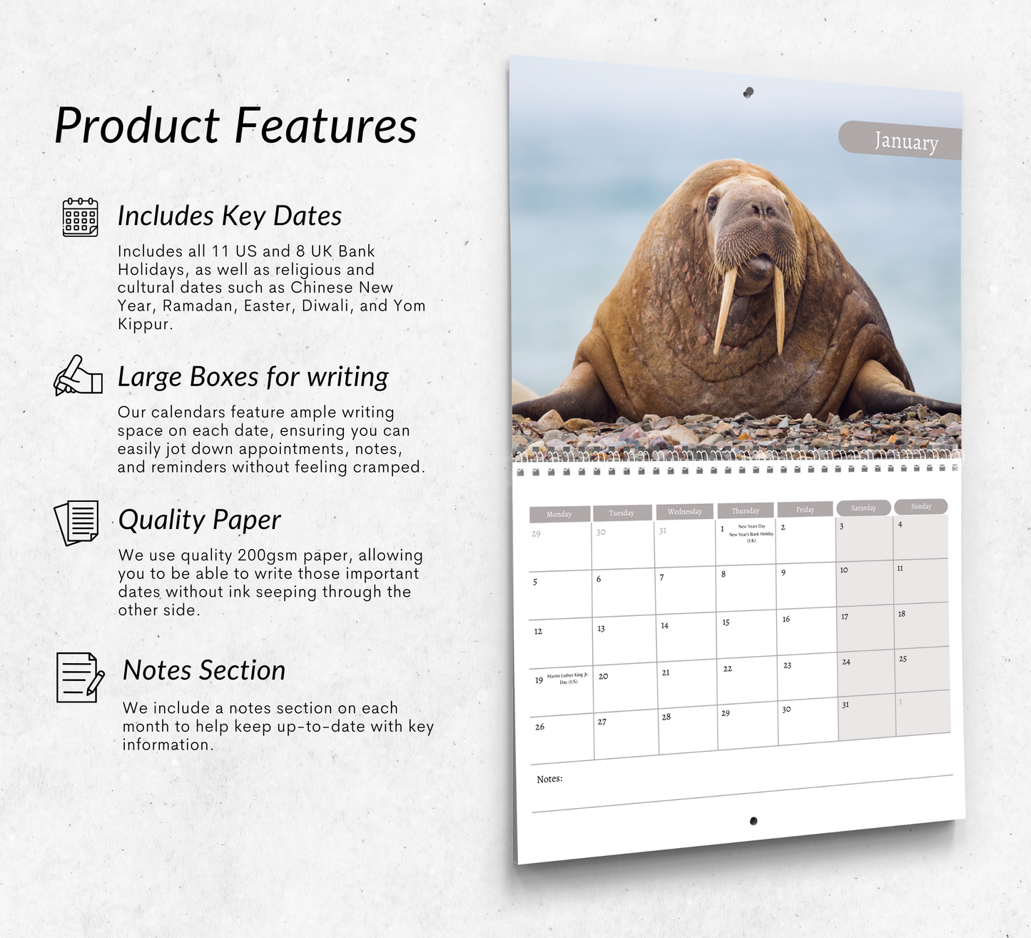 Walrus Calendar 2026