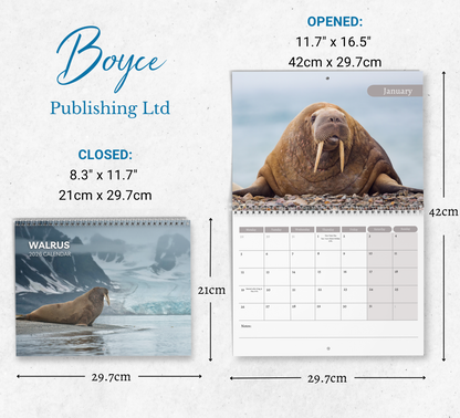Walrus Calendar 2026