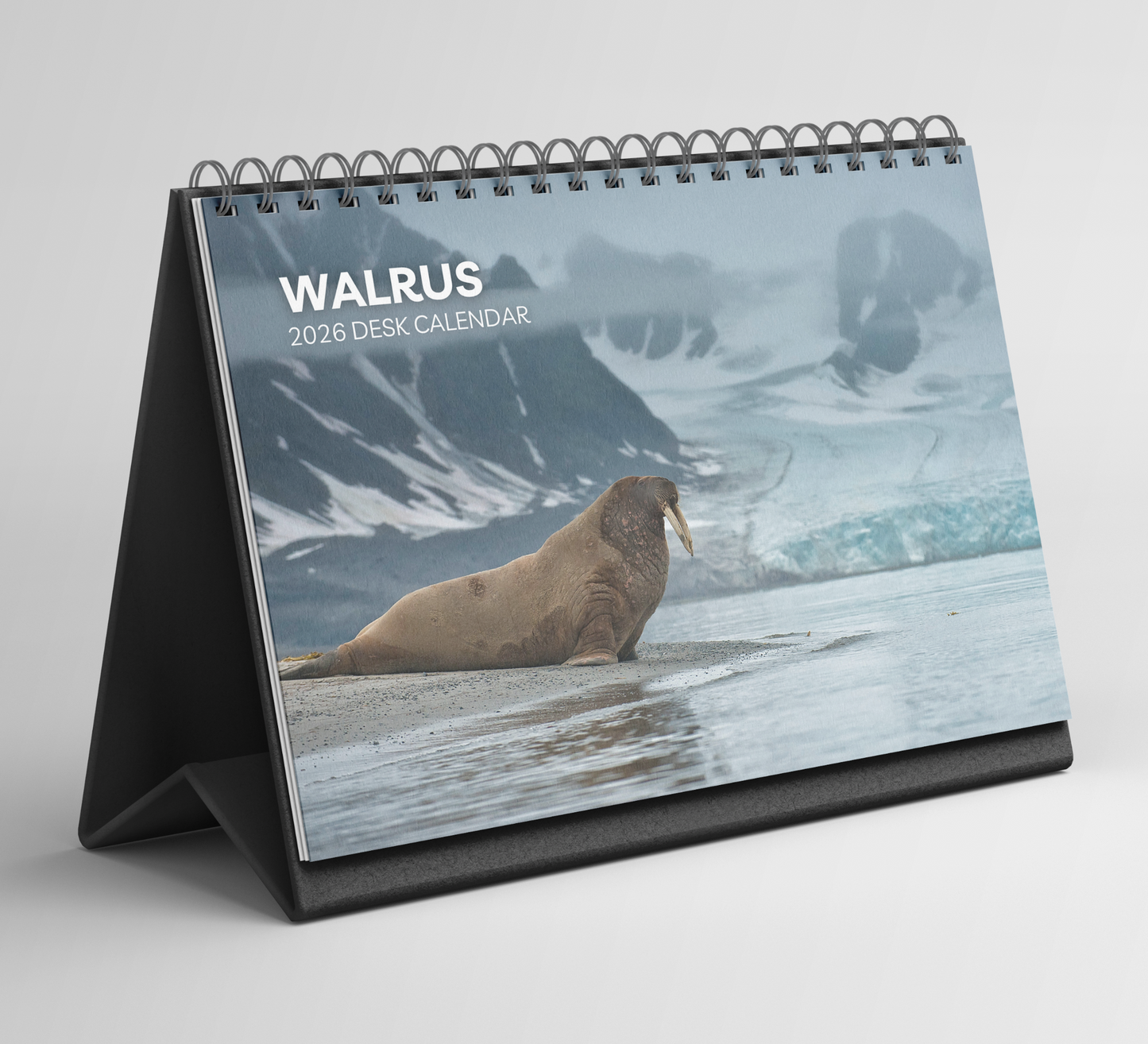 Walrus Desk Calendar 2026-2027