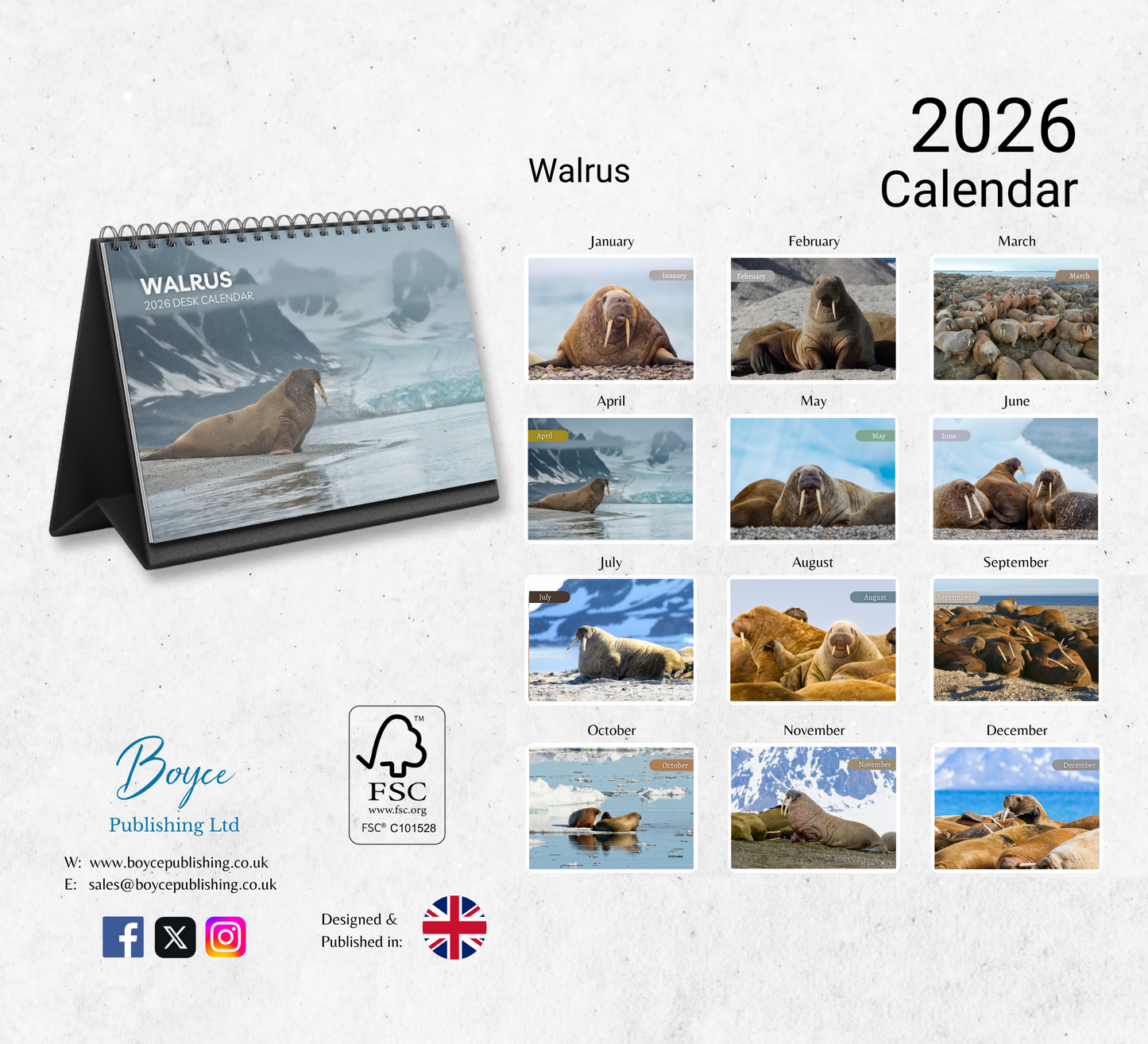 Walrus Desk Calendar 2026-2027