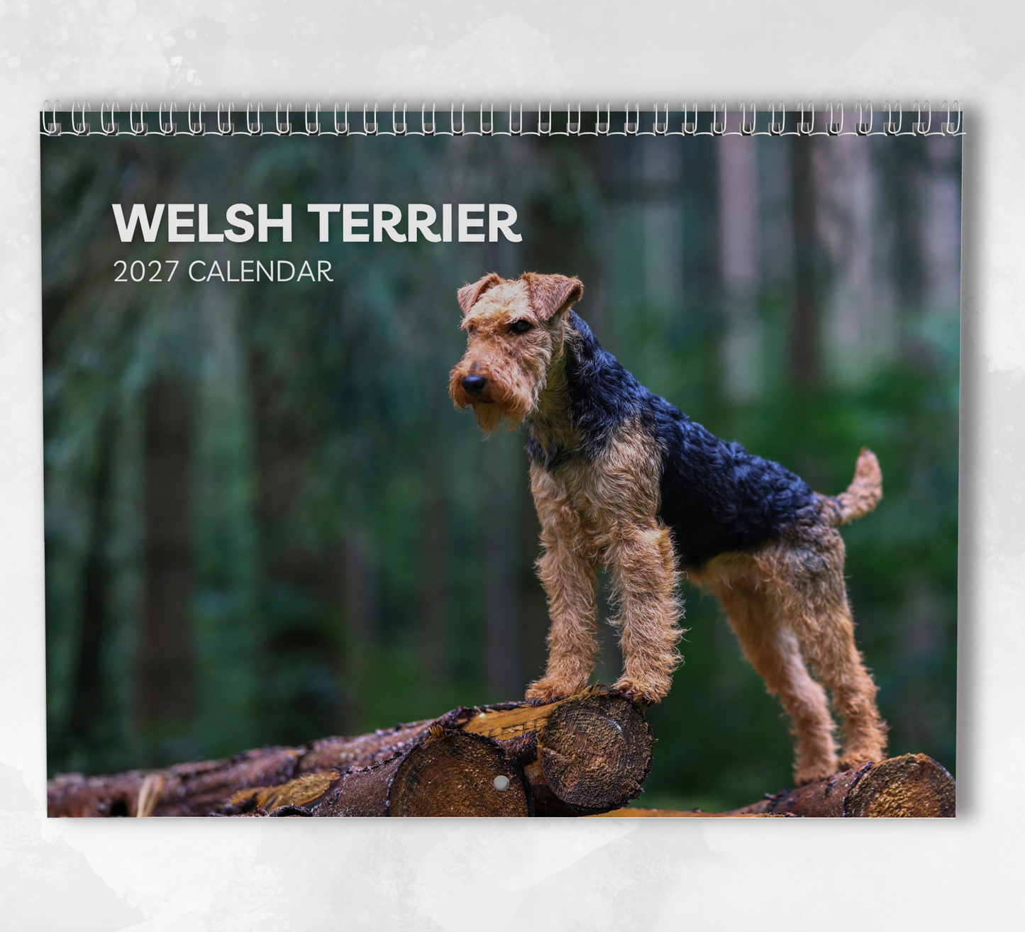 Welsh Terrier Calendar 2027